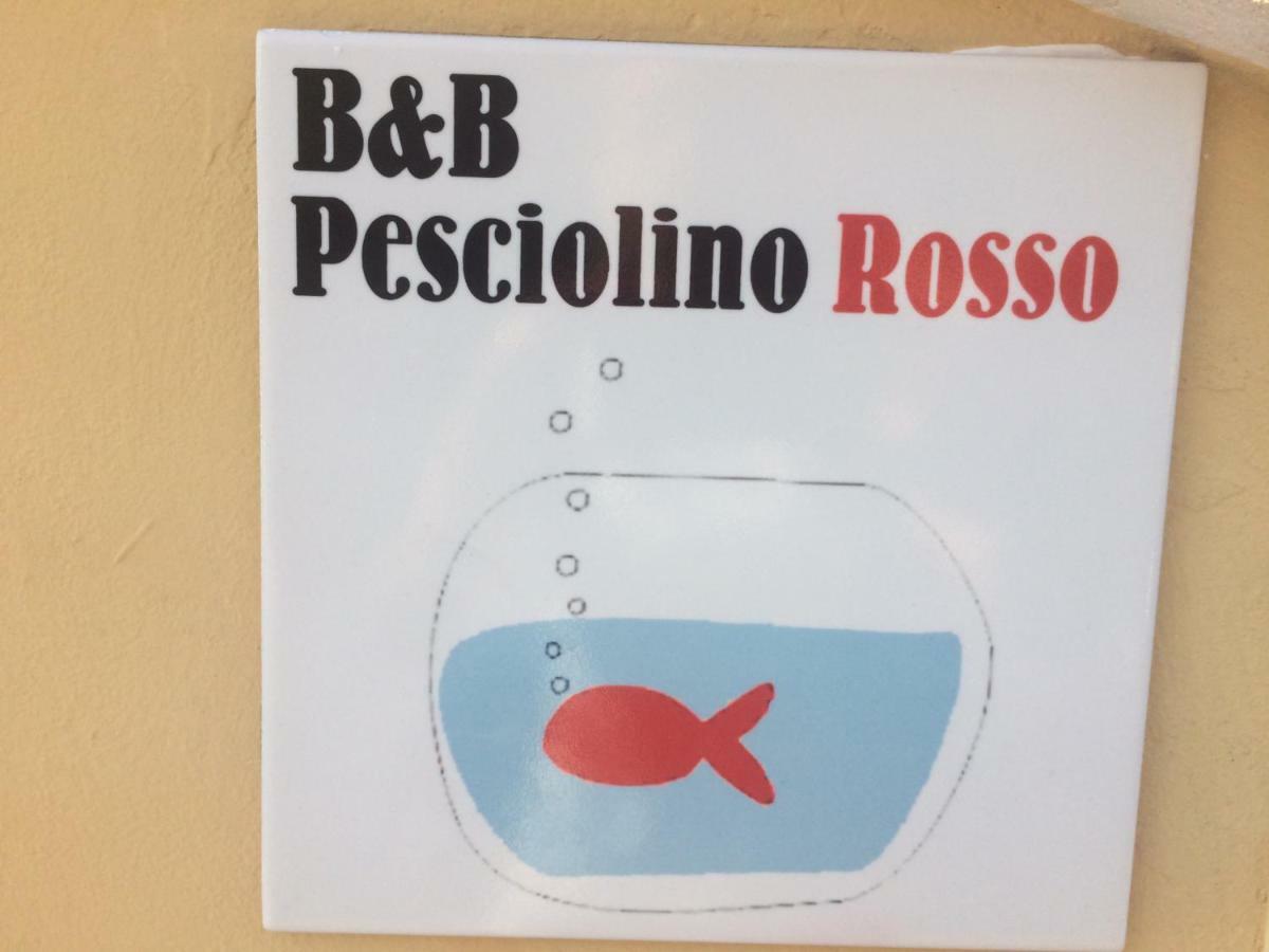 גאליפולי B&B Pesciolino Rosso מראה חיצוני תמונה